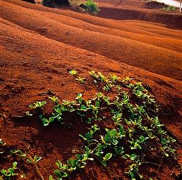 《幽灵行动：断点》现已上架Steam 1月24日发售